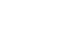 Flintshire County Council Logo