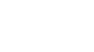 Denbighshire County Council Logo